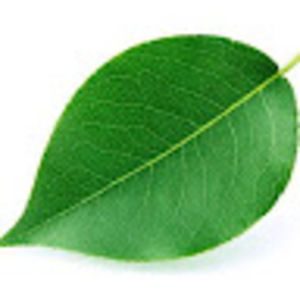 Meet your Posher, Nina